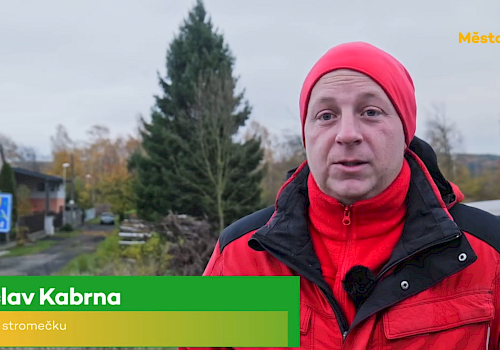 Jednatel společnosti daroval vánoční strom pro Plzeň